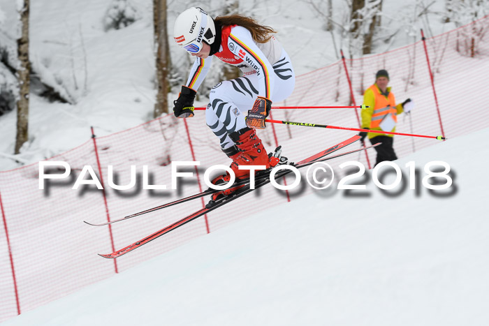 FIS RiesenslalomDamen Lenggries 2.2.2018