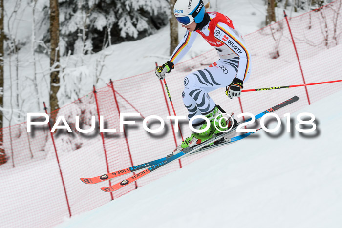FIS RiesenslalomDamen Lenggries 2.2.2018