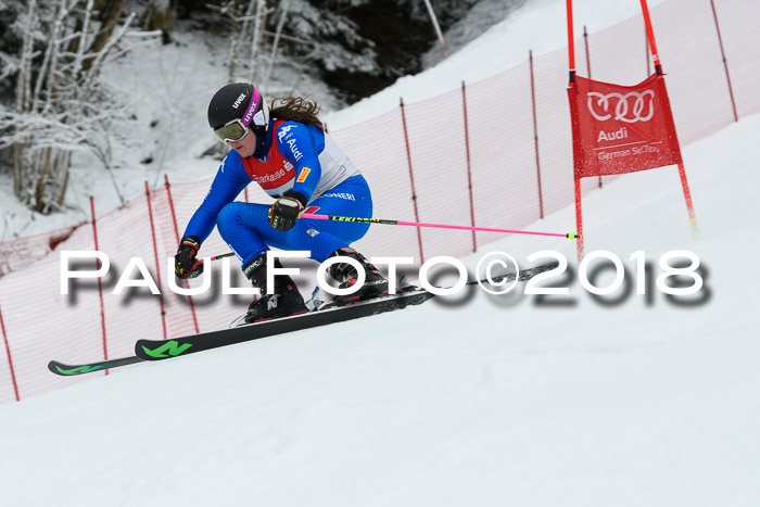 FIS RiesenslalomDamen Lenggries 2.2.2018