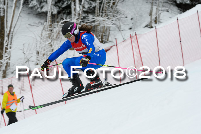 FIS RiesenslalomDamen Lenggries 2.2.2018