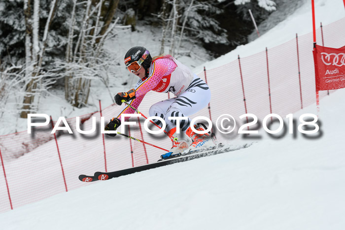 FIS RiesenslalomDamen Lenggries 2.2.2018