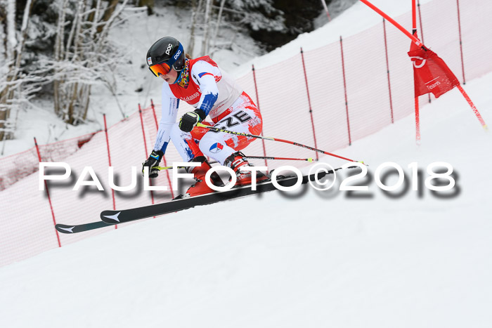 FIS RiesenslalomDamen Lenggries 2.2.2018