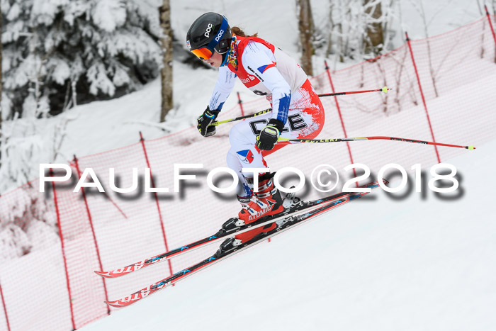 FIS RiesenslalomDamen Lenggries 2.2.2018