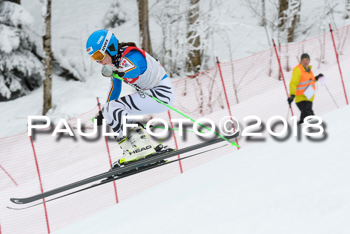 FIS RiesenslalomDamen Lenggries 2.2.2018