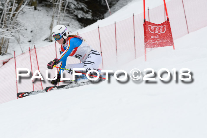 FIS RiesenslalomDamen Lenggries 2.2.2018