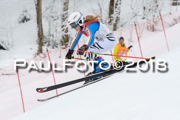 FIS RiesenslalomDamen Lenggries 2.2.2018