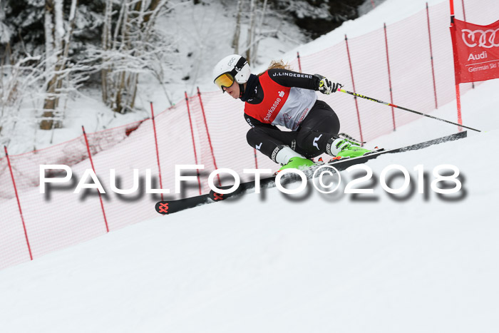 FIS RiesenslalomDamen Lenggries 2.2.2018