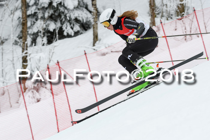 FIS RiesenslalomDamen Lenggries 2.2.2018