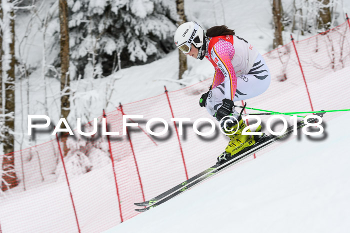 FIS RiesenslalomDamen Lenggries 2.2.2018