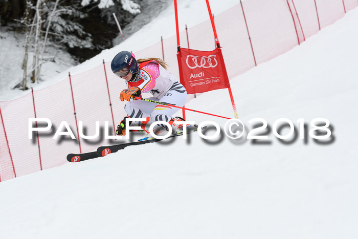 FIS RiesenslalomDamen Lenggries 2.2.2018