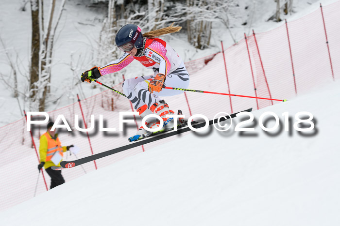 FIS RiesenslalomDamen Lenggries 2.2.2018