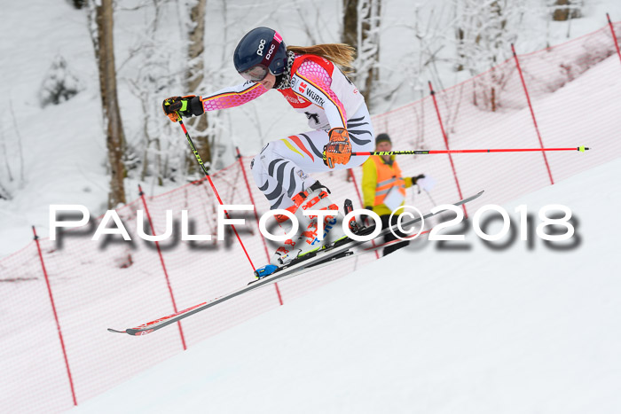 FIS RiesenslalomDamen Lenggries 2.2.2018