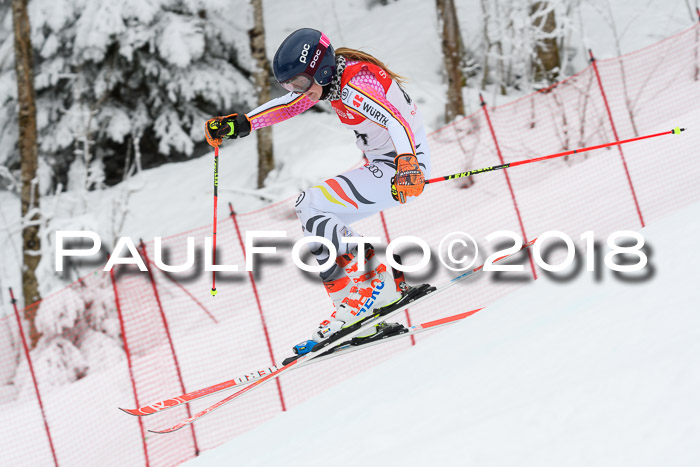 FIS RiesenslalomDamen Lenggries 2.2.2018