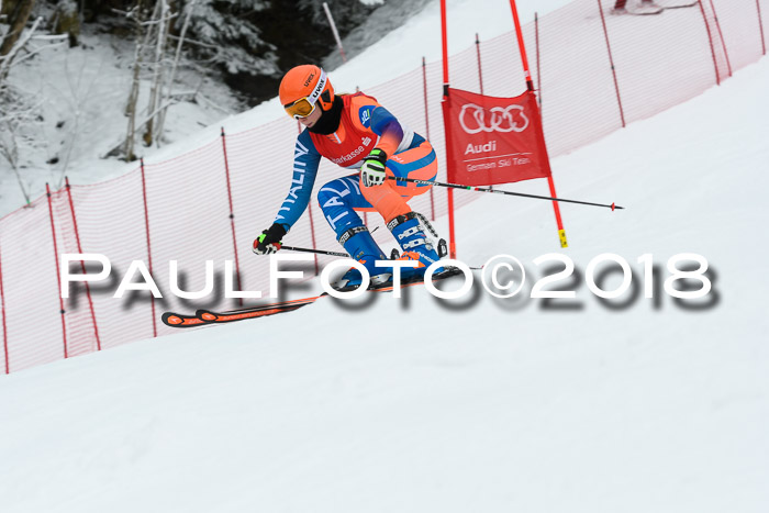 FIS RiesenslalomDamen Lenggries 2.2.2018