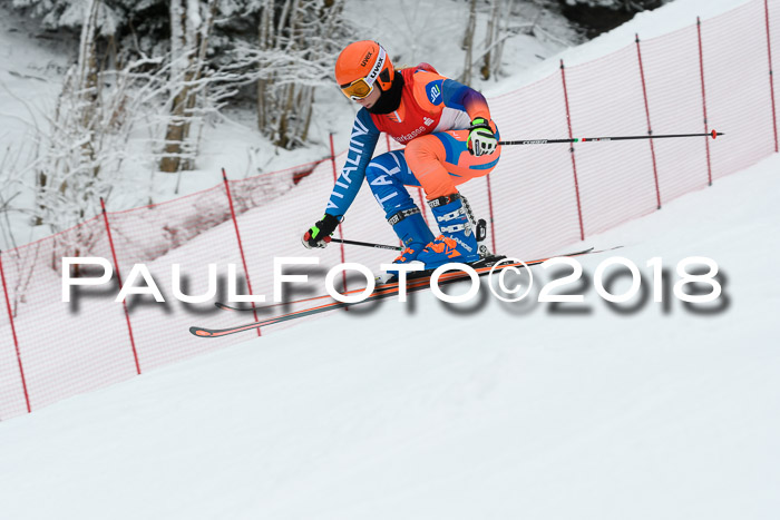 FIS RiesenslalomDamen Lenggries 2.2.2018