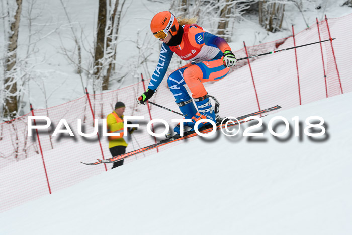 FIS RiesenslalomDamen Lenggries 2.2.2018