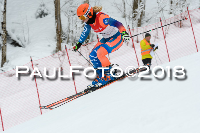 FIS RiesenslalomDamen Lenggries 2.2.2018