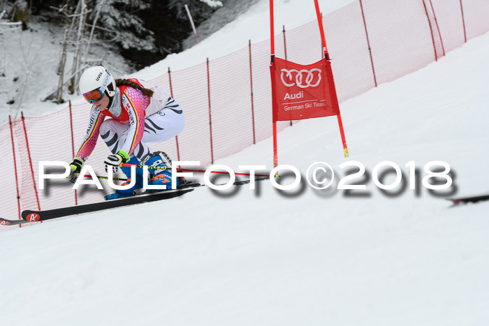 FIS RiesenslalomDamen Lenggries 2.2.2018