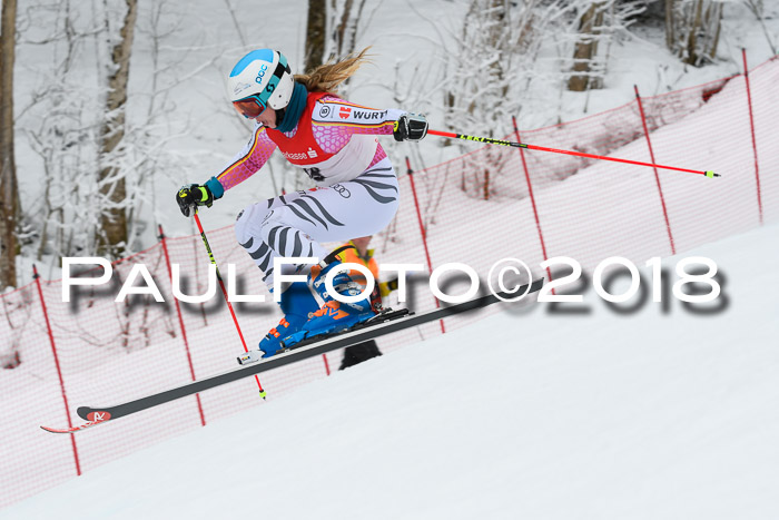 FIS RiesenslalomDamen Lenggries 2.2.2018