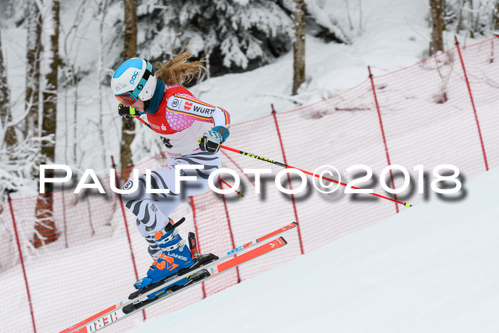 FIS RiesenslalomDamen Lenggries 2.2.2018