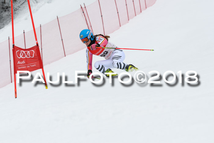 FIS RiesenslalomDamen Lenggries 2.2.2018