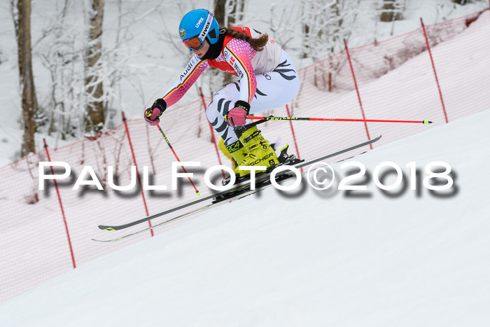 FIS RiesenslalomDamen Lenggries 2.2.2018