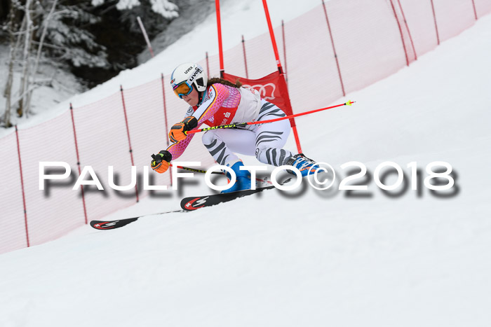 FIS RiesenslalomDamen Lenggries 2.2.2018