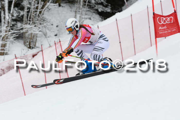 FIS RiesenslalomDamen Lenggries 2.2.2018