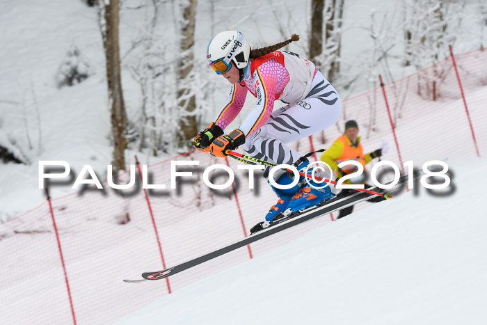 FIS RiesenslalomDamen Lenggries 2.2.2018