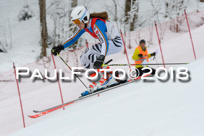 FIS RiesenslalomDamen Lenggries 2.2.2018