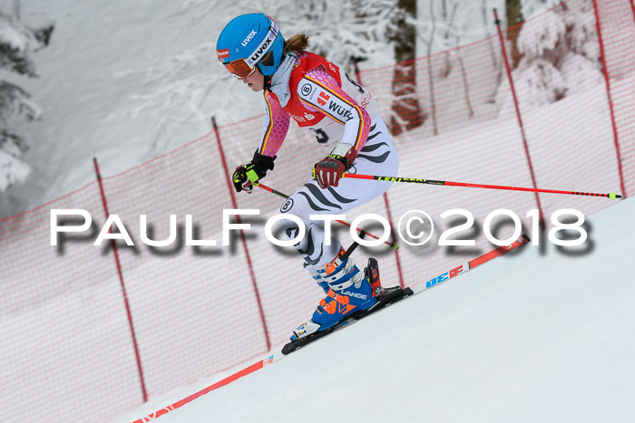 FIS RiesenslalomDamen Lenggries 2.2.2018