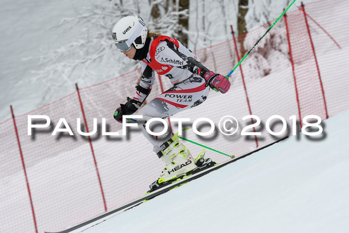 FIS RiesenslalomDamen Lenggries 2.2.2018