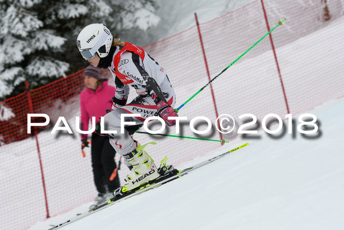 FIS RiesenslalomDamen Lenggries 2.2.2018