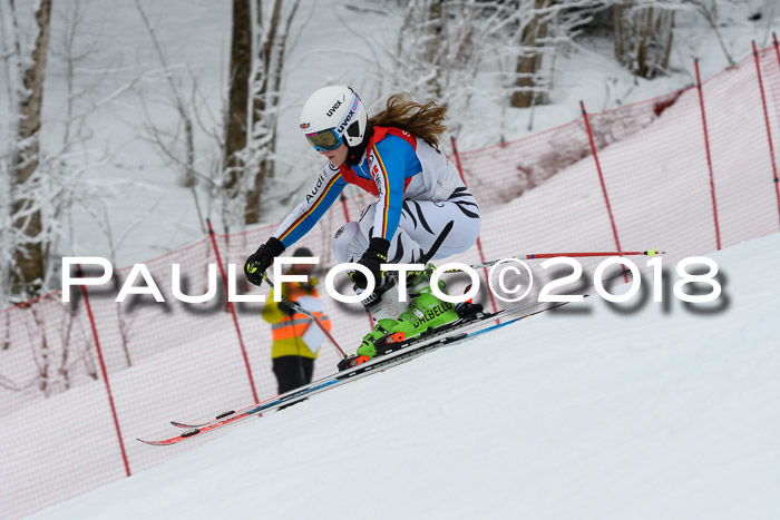 FIS RiesenslalomDamen Lenggries 2.2.2018