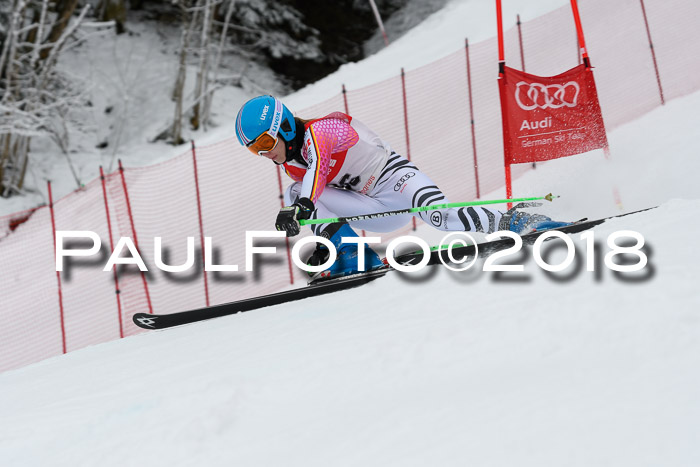 FIS RiesenslalomDamen Lenggries 2.2.2018