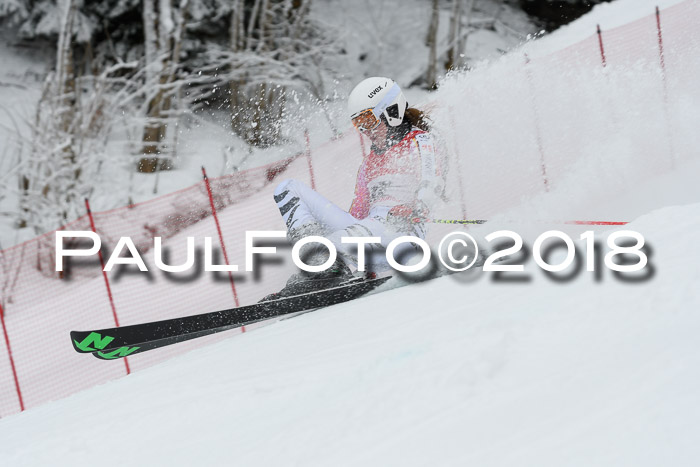 FIS RiesenslalomDamen Lenggries 2.2.2018