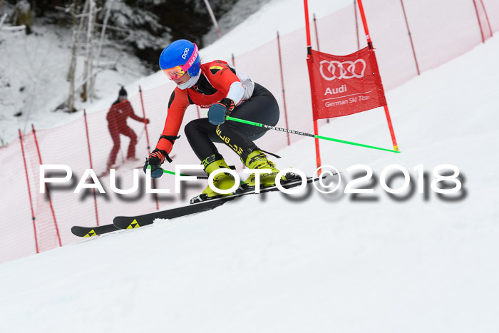 FIS RiesenslalomDamen Lenggries 2.2.2018