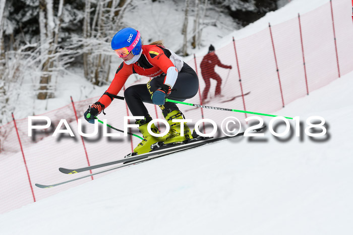 FIS RiesenslalomDamen Lenggries 2.2.2018