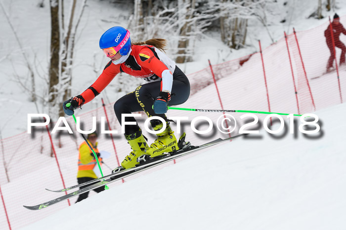 FIS RiesenslalomDamen Lenggries 2.2.2018