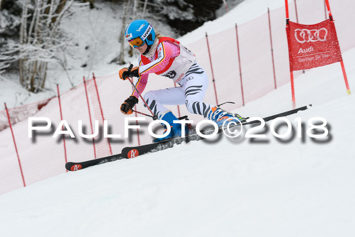 FIS RiesenslalomDamen Lenggries 2.2.2018