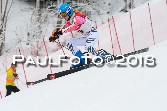 FIS RiesenslalomDamen Lenggries 2.2.2018