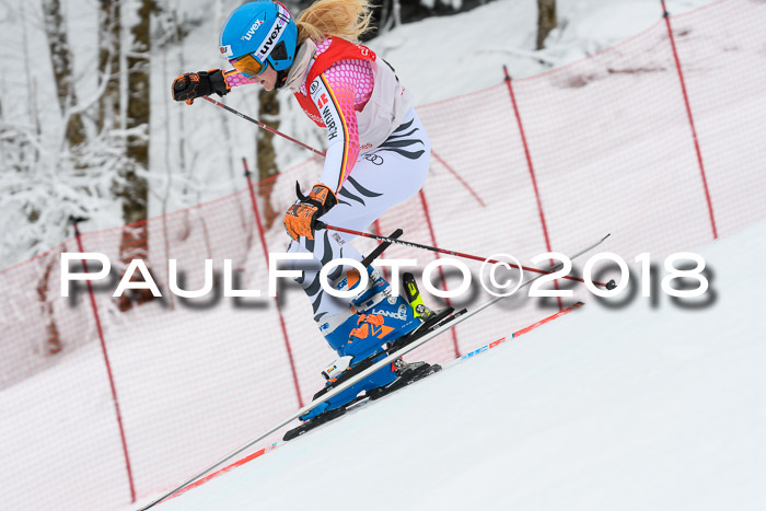 FIS RiesenslalomDamen Lenggries 2.2.2018