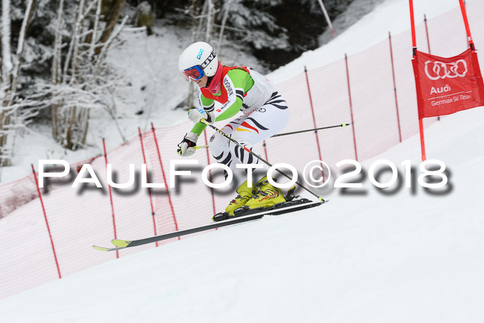 FIS RiesenslalomDamen Lenggries 2.2.2018