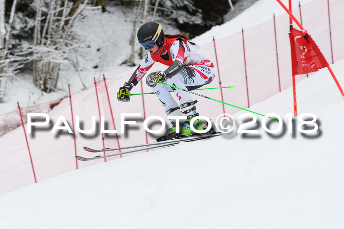 FIS RiesenslalomDamen Lenggries 2.2.2018