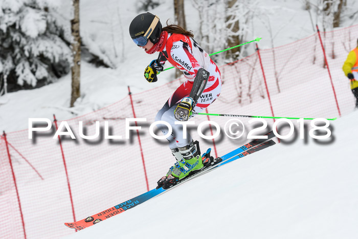 FIS RiesenslalomDamen Lenggries 2.2.2018