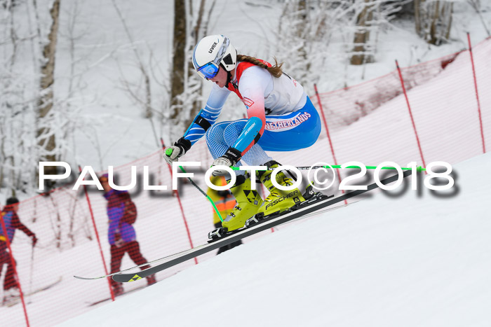 FIS RiesenslalomDamen Lenggries 2.2.2018