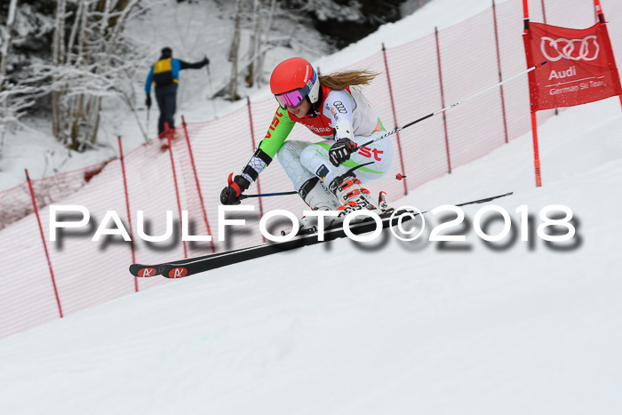 FIS RiesenslalomDamen Lenggries 2.2.2018