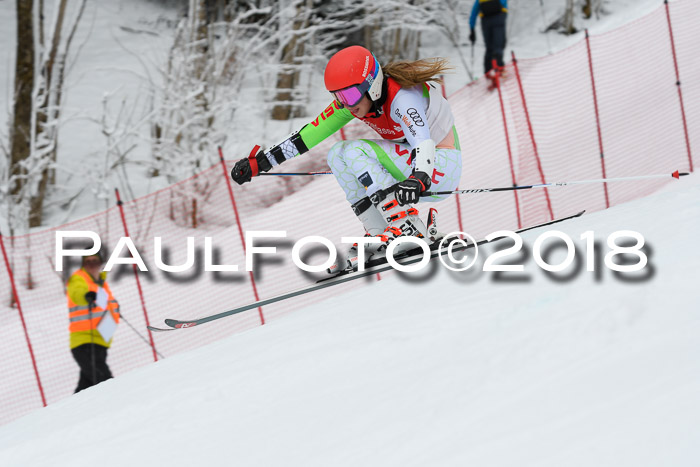 FIS RiesenslalomDamen Lenggries 2.2.2018