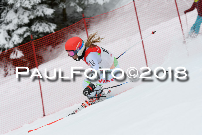 FIS RiesenslalomDamen Lenggries 2.2.2018