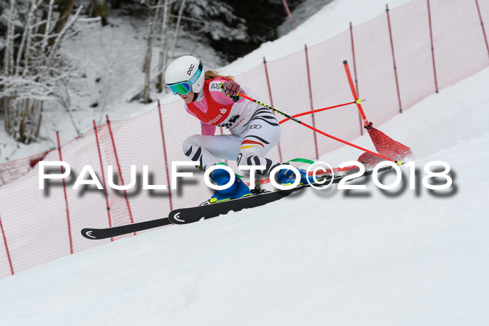FIS RiesenslalomDamen Lenggries 2.2.2018